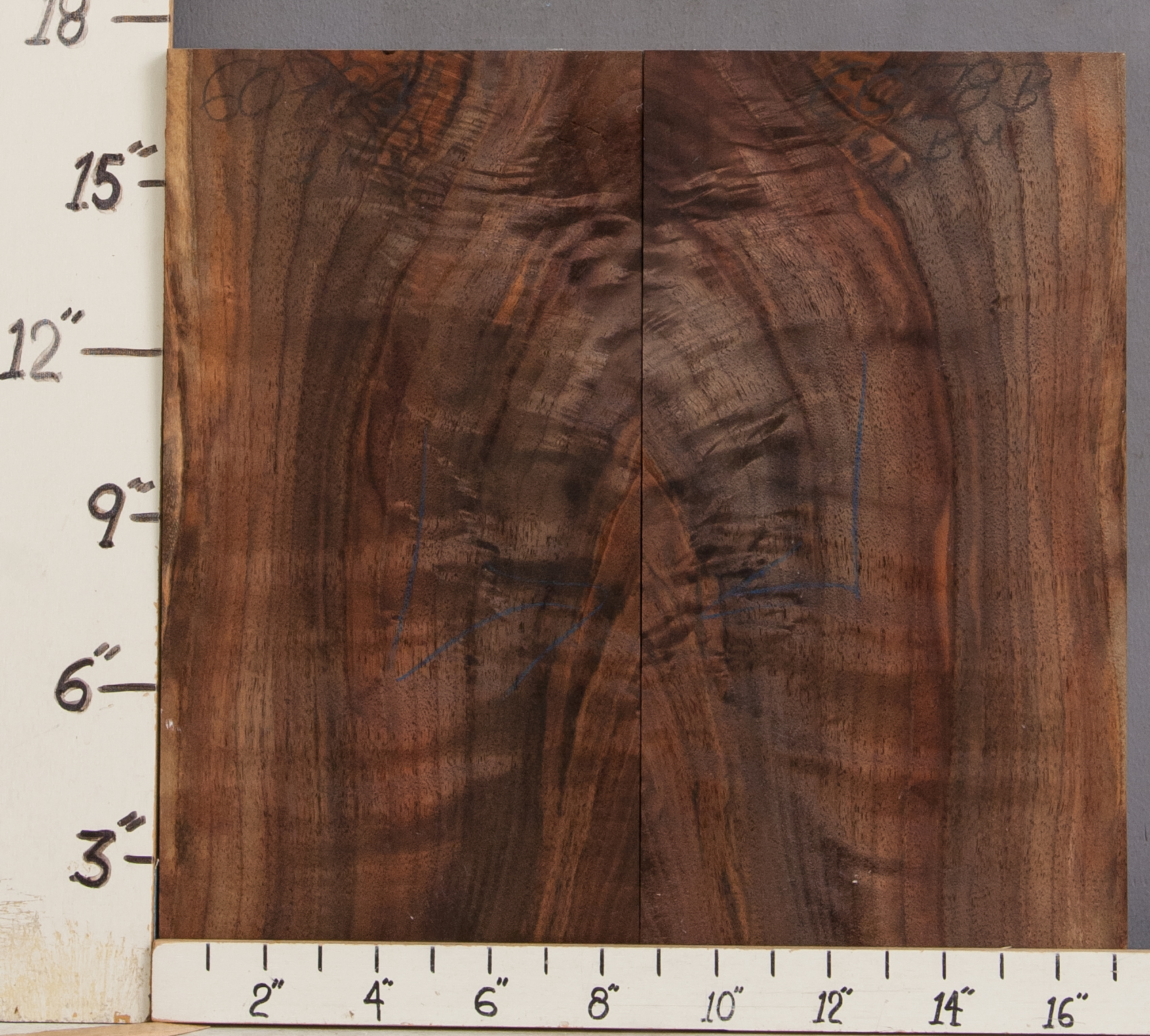 AAAAA Curly Marbled Claro Walnut Bookmatch