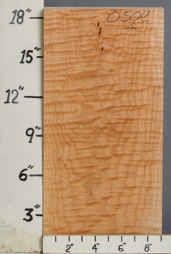 AAAAA CURLY MAPLE BLOCK 9" X 18"1/2 X 1"3/4 (NWT-0050C) - Image 2