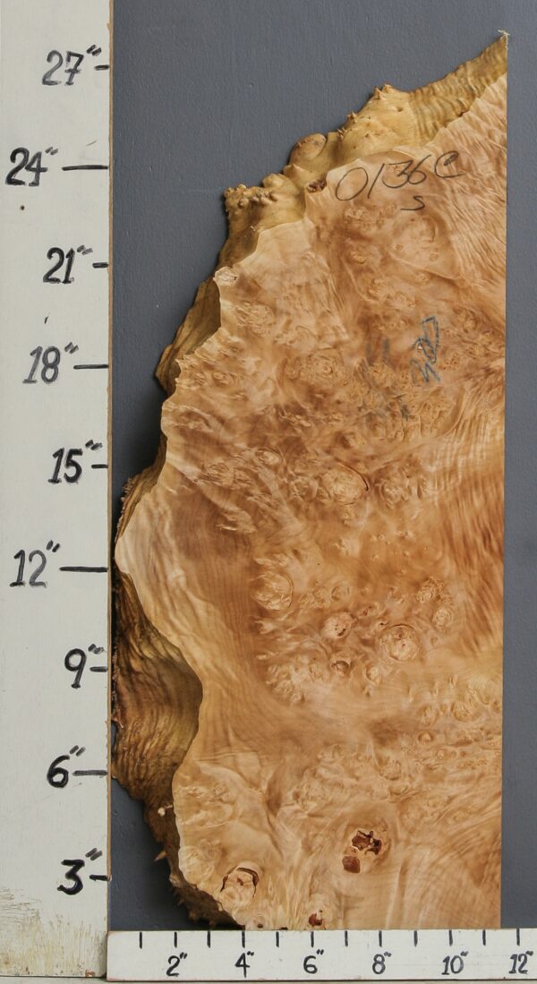 AAAAA BURL CURLY MAPLE LUMBER WITH LIVE EDGE 11" X 26" X 1"3/4 (NWT-0136C) - Image 2