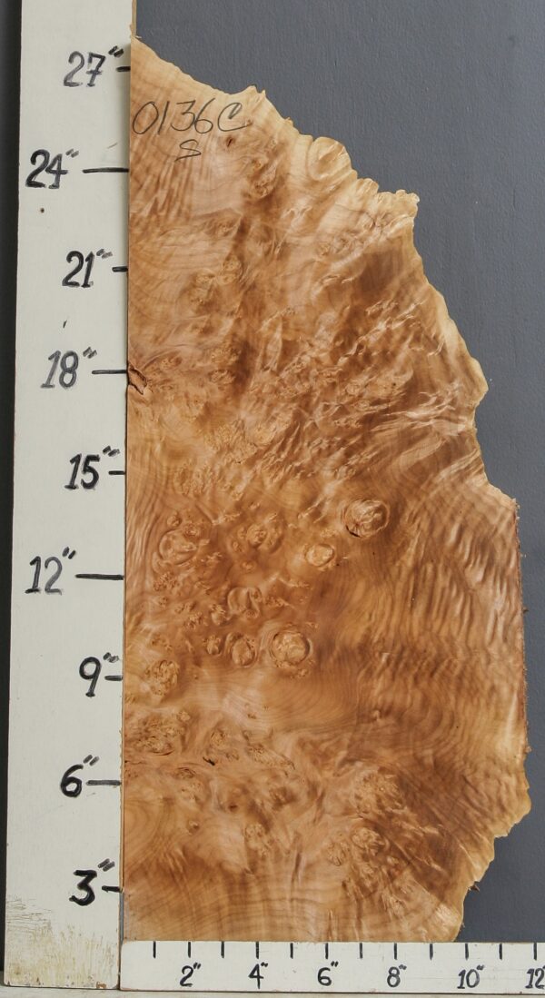 AAAAA BURL CURLY MAPLE LUMBER WITH LIVE EDGE 11" X 26" X 1"3/4 (NWT-0136C)