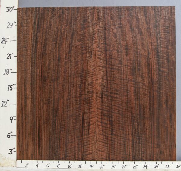 MUSICAL CURLY MARBLED CLARO WALNUT VERTICAL GRAINED BOOKMATCH 29"3/4 X 30" X 4/4 (NWT-0483C)