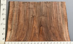 MUSCIAL CURLY MARBLED CLARO WALNUT BOOKMATCH WITH LIVE EDGE 37"1/2 X 26"1/4 X 5/4 (NWT-0823C)
