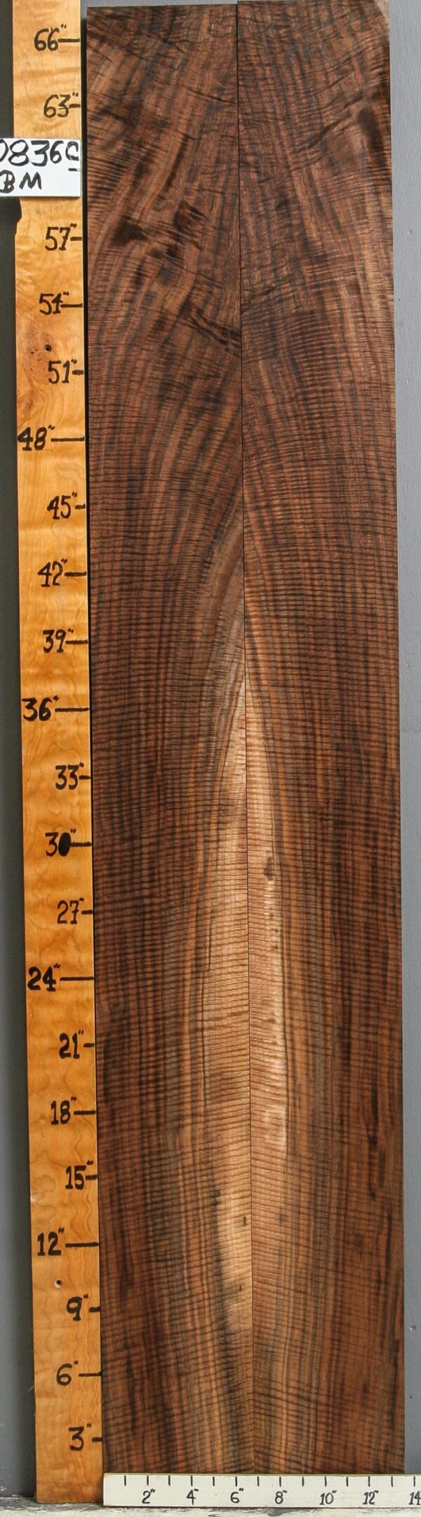 MUSICAL CURLY MARBLED CLARO WALNUT BOOKMATCH 13"1/2 X 67" X 4/4 (NWT-0836C)