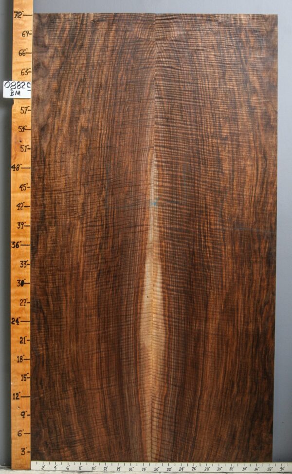 MUSCIAL CURLY MARBLED CLARO WALNUT BOOKMATCH 38"1/2 X 72" X 5/4 (NWT-0882C)