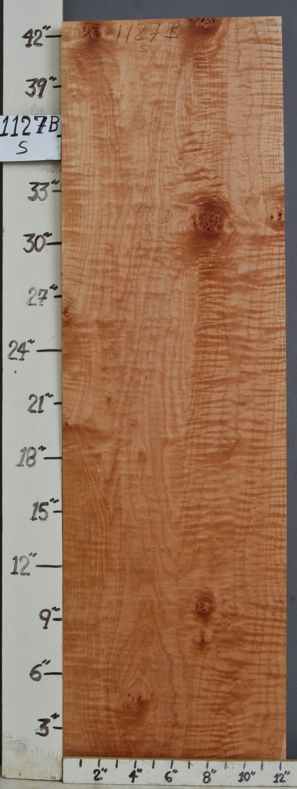 MUSICAL CURLY MAPLE BILLET 12"1/4 X 42" X 1"3/4 (NWT1127B)