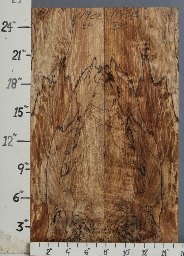 AAAAA SPALTED MAPLE MICROLUMBER BOOKMATCH 15"1/2 X 25" X 1/2 (NWT-1192C)