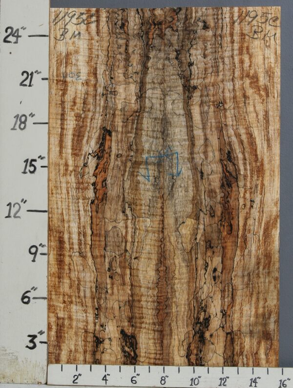 AAAAA SPALTED CURLY MAPLE MICROLUMBER BOOKMATCH 15"3/4 X 25" X 3/8 (NWT-1195C)