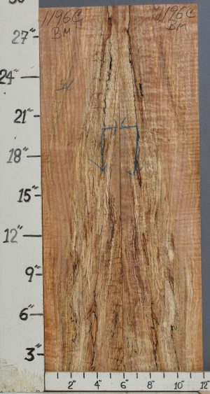 AAAAA SPALTED CURLY MAPLE MICROLUMBER BOOKMATCH 11"3/4 X 29" X 3/8 (NWT-1196C)
