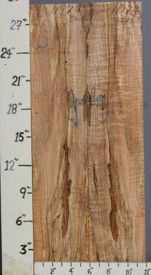 AAAAA SPALTED CURLY MAPLE MICROLUMBER BOOKMATCH 11"3/4 X 29" X 3/8 (NWT-1197C)