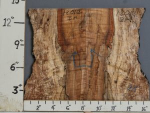 AAAAA SPALTED CURLY MAPLE MICROLUMBER BOOKMATCH WITH LIVE EDGE 14" X 13" X 3/8 (NWT-1201C)