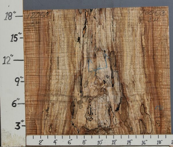 AAAAA SPALTED CURLY MAPLE MICROLUMBER BOOKMATCH 19" X 18" X 3/8 (NWT-1206C)