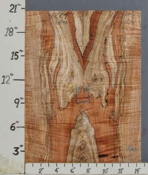 AAAAA SPALTED CURLY MAPLE MICROLUMBER BOOKMATCH 14"1/2 X 20" X 3/8 (NWT-1224C)