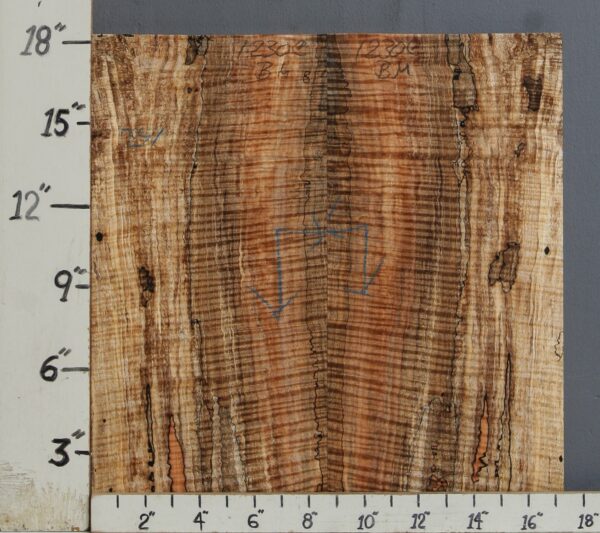 AAAAA SPALTED CURLY MAPLE MICROLUMBER BOOKMATCH 17"1/4 X 18" X 3/8 (NWT-1230C)