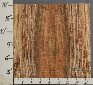 AAAAA SPALTED CURLY MAPLE MICROLUMBER BOOKMATCH 17"1/4 X 18" X 1/2 (NWT-1231C)