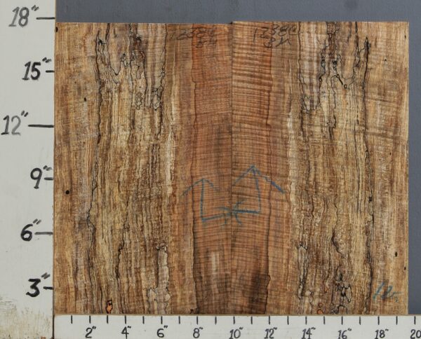 AAAAA SPALTED CURLY MAPLE MICROLUMBER BOOKMATCH 19"3/4 X 17" X 3/8 (NWT-1238C)