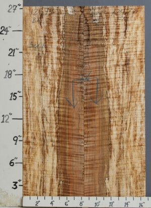 AAAAA SPALTED CURLY MAPLE MICROLUMBER BOOKMATCH 16"5/8 X 27" X 1/2 (NWT-1247C)
