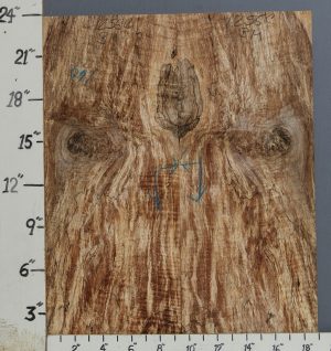 AAAAA SPALTED CURLY MAPLE MICROLUMBER BOOKMATCH 18"3/4 X 23" X 3/8 (NWT-1256C)