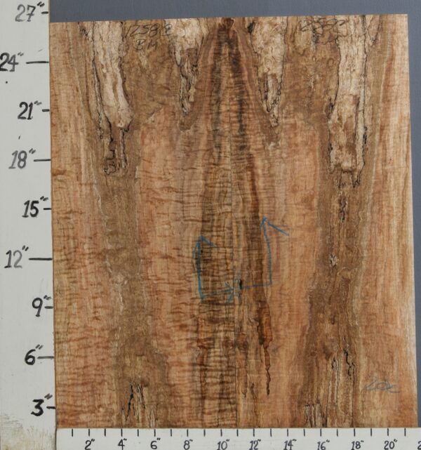 AAAAA SPALTED CURLY MAPLE MICROLUMBER BOOKMATCH 21"3/4 X 26" X 3/8 (NWT-1258C)