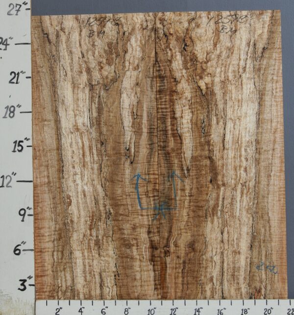 AAAAA SPALTED CURLY MAPLE MICROLUMBER BOOKMATCH 21"3/4 X 26" X 3/8 (NWT-1259C)