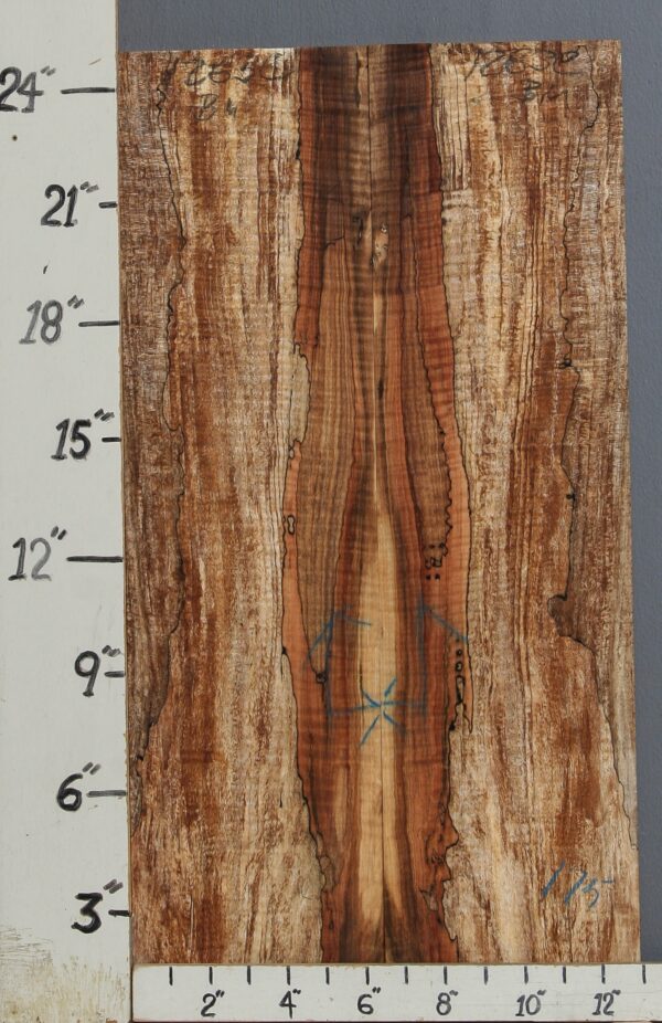 AAAAA SPALTED CURLY MAPLE MICROLUMBER BOOKMATCH 13" X 25" X 3/8 (NWT-1263C)