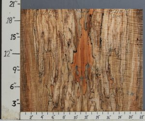 AAAAA SPALTED CURLY MAPLE MICROLUMBER BOOKMATCH 22"1/4 X 20" X 3/8 (NWT-1271C)