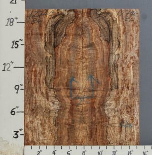 AAAA SPALTED MAPLE MICROLUMBER BOOKMATCH 15"1/4 X 19" X 3/8 (NWT-1274C)