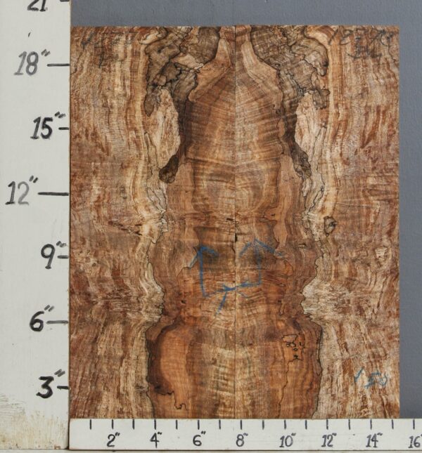 AAAA SPALTED CURLY MAPLE MICROLUMBER BOOKMATCH 15"1/4 X 19" X 3/8 (NWT-1277C)