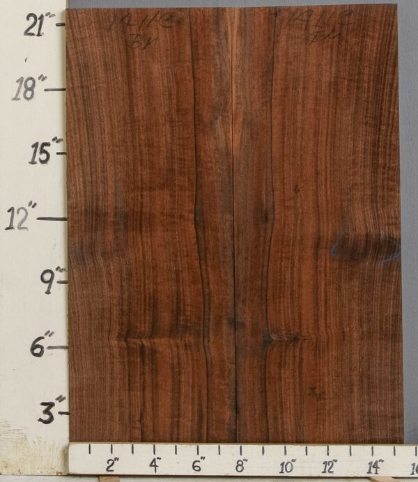 AAAAA MARBLED CLARO WALNUT BOOKMATCH 15"1/2 X 21" X 4/4 (NWT-1411C)