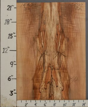 AAAAA SPALTED CURLY MAPLE MICROLUMBER BOOKMATCH 14"1/2 X 22" X 3/8 (NWT-1440C)