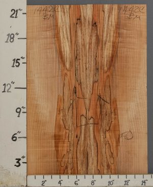 AAAAA SPALTED CURLY MAPLE MICROLUMBER BOOKMATCH 14"1/2 X 22" X 3/8 (NWT-1442C)