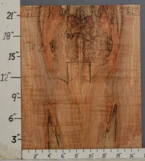 AAAAA SPALTED CURLY MAPLE MICROLUMBER BOOKMATCH 17"1/2 X 22" X 3/8 (NWT-1443C)