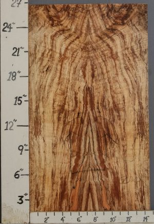 AAAAA SPALTED CURLY MAPLE MICROLUMBER BOOKMATCH 14"5/8 X 26" X 3/8 (NWT-1445C)