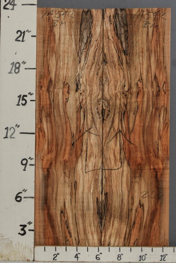 AAAAA SPALTED MAPLE MICRO LUMBER BOOKMATCH 12"1/2 X 23" X 3/8 (NWT-1454C)