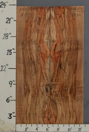 AAAAA SPALTED CURLY MAPLE MICROLUMBER BOOKMATCH 12"5/8 X 23" X 3/8 (NWT-1455C)