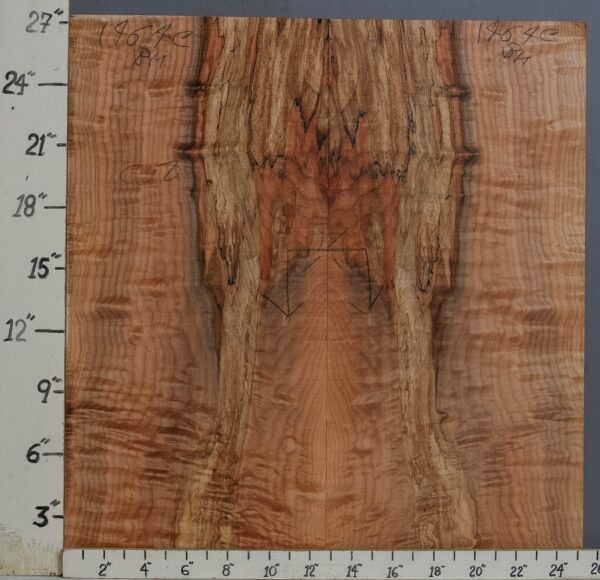 AAAAA SPALTED CURLY MAPLE MICROLUMBER BOOKMATCH 25"1/2 X 24" X 1/2 (NWT-1464C)