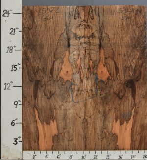 AAAAA SPALTED CURLY MAPLE MICROLUMBER BOOKMATCH 20"1/2 X 25" X 3/8 (NWT-1507C)