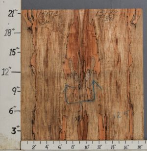 AAAAA SPALTED CURLY MAPLE MICROLUMBER BOOKMATCH 18"3/4 X 21" X 1/2 (NWT-1517C)