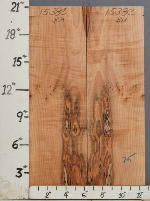 AAAAA SPALTED CURLY MAPLE MICROLUMBER BOOKMATCH 12"1/2 X 21" X 3/8 (NWT-1538C)