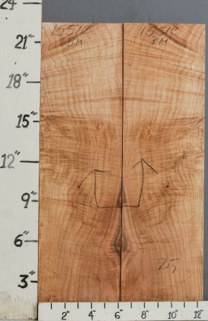 AAAAA SPALTED CURLY MAPLE MICROLUMBER BOOKMATCH 12"1/2 X 22" X 3/8 (NWT-1551C)