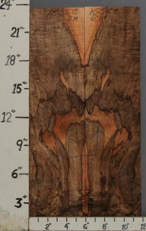 AAAAA SPALTED CURLY MAPLE MICROLUMBER BOOKMATCH 11"3/4 X 23" X 3/8 (NWT-1556C)