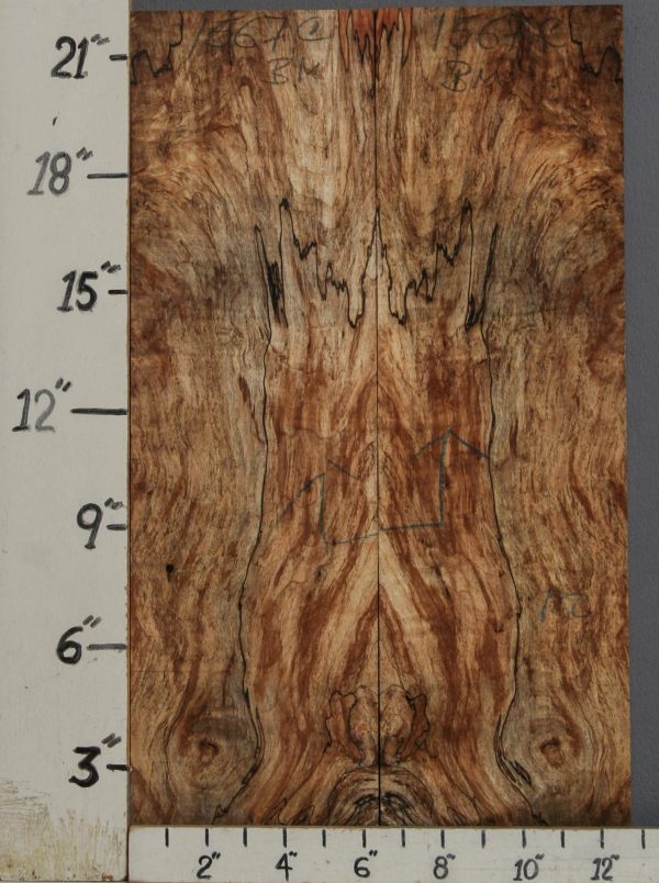 AAAAA SPALTED MAPLE MICROLUMBER BOOKMATCH 12"1/2 X 22" X 3/8 (NWT-1567C)