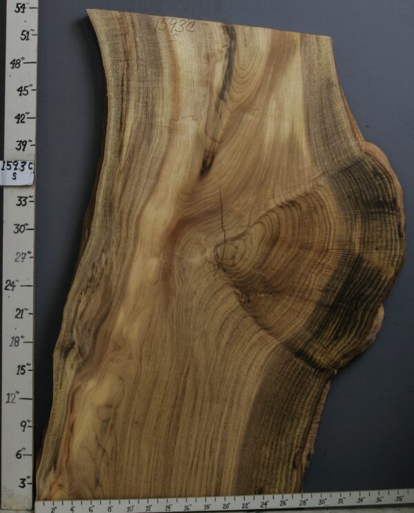 AAAAA CURLY MARBLED MYRTLEWOOD LIVE EDGE SLAB 33" X 51" X 2" (NWT-1593C)