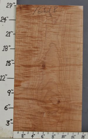 MUSICAL CURLY MAPLE BILLET 13"3/4 X 27" X 1"7/8 (NWTB1661)