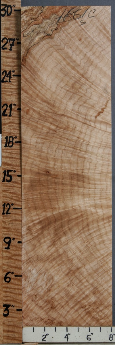 spalted curly maple