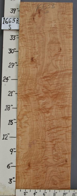 MUSICAL CURLY MAPLE BILLET 11"1/4 X 40" X 1"3/4 (NWTB1663)