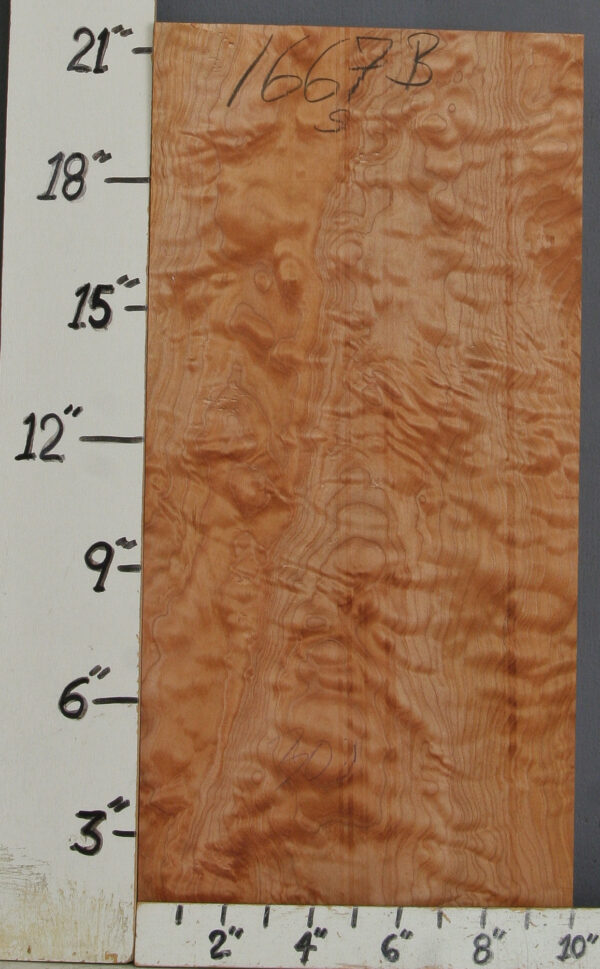 MUSICAL QUILTED MAPLE BILLET 10" X 21"1/2 X 1"3/4 (NWTB1667)