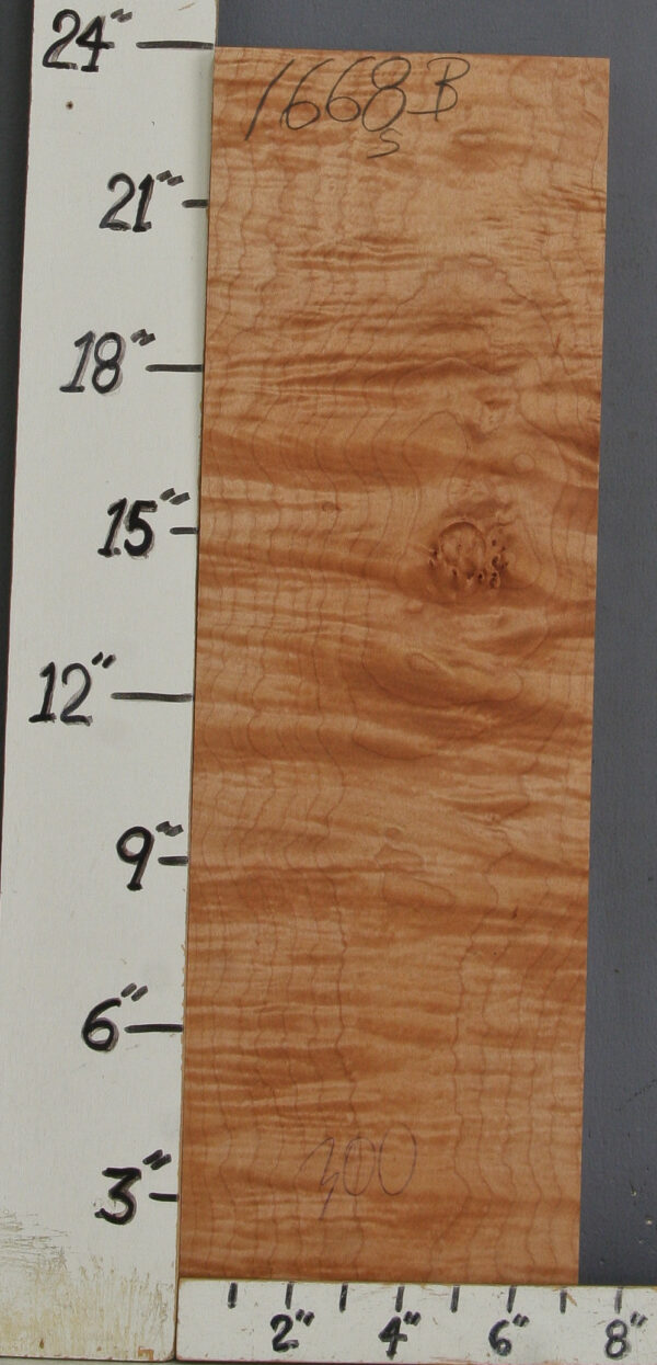 MUSICAL CURLY MAPLE BILLET 7"1/4 X 23"3/4 X 1"3/4 (NWTB1668)