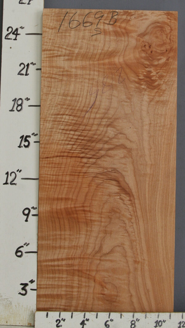 MUSICAL CURLY MAPLE BILLET 11"1/4 X 26" X 1"3/4 (NWTB1669)