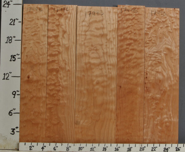 AAAA QUILTED MAPLE 5 BOARD SET 26" X 24" X 4/4 (NWTB1749)