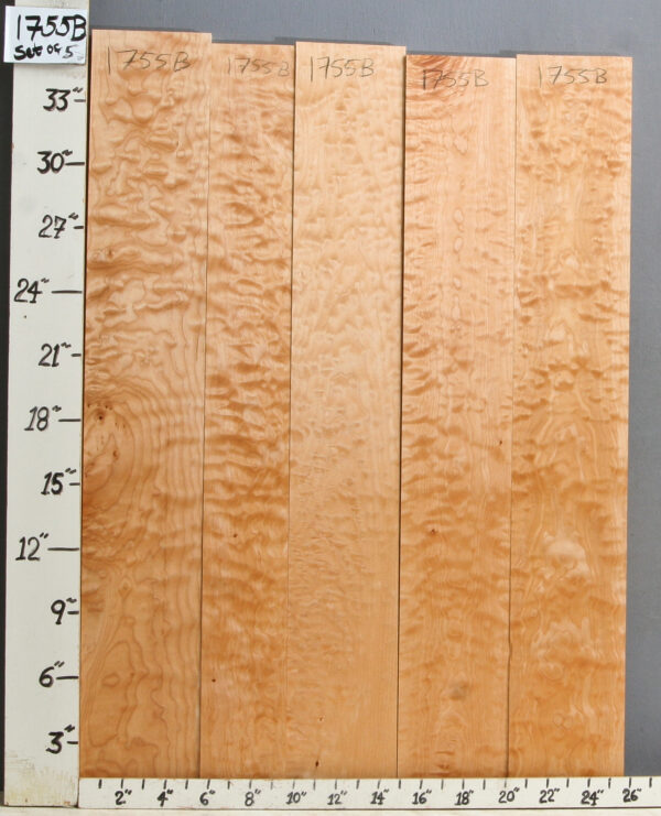 AAAA QUILTED MAPLE 5 BOARD SET 25"3/4 X 36" X 4/4 (NWTB1755)